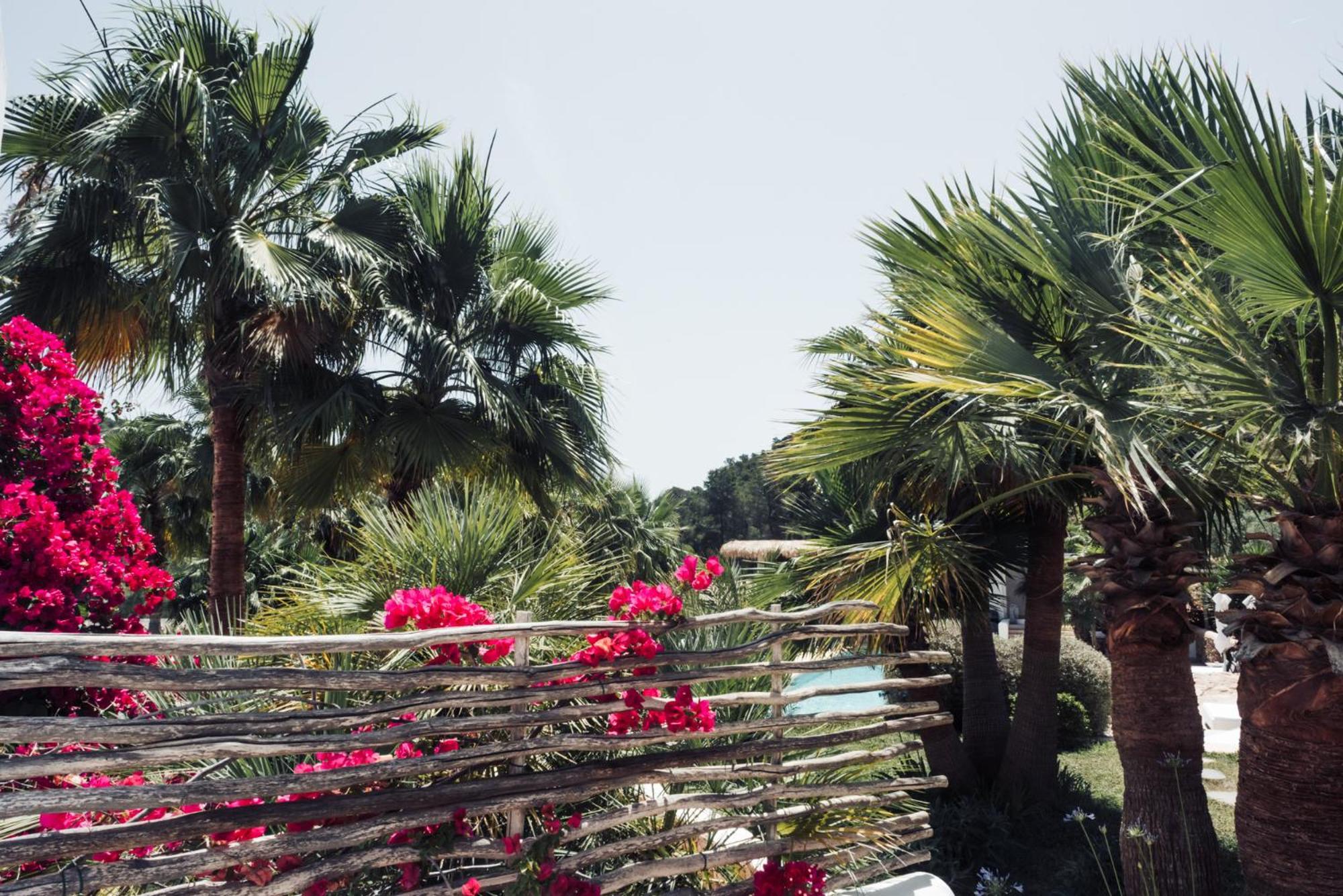 Pure House Ibiza Ξενοδοχείο Sant Jordi de ses Salines Εξωτερικό φωτογραφία